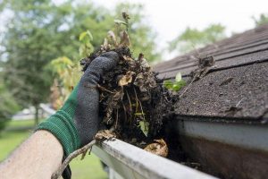 Indianapolis Gutter Cleaning, Carmel Gutter Cleaning, Westfield Gutter Cleaning, Fishers Gutter Cleaning, Zionsville Gutter Cleaning, New Pal Gutter Cleaning, McCordsville Gutter Cleaning, Greenwood Gutter Cleaning, Noblesville Gutter Cleaning, Fortville Gutter Cleaning, Beech Grove Gutter Cleaning, Greenfield Gutter Cleaning, Whiteland Gutter Cleaning, Whitestown Gutter Cleaning, Avon Gutter Cleaning, Bargersville Gutter Cleaning, Franklin Gutter Cleaning, Mooresville Gutter Cleaning, Maxwell Gutter Cleaning, Fountain Town Gutter Cleaning, Danville Gutter Cleaning, Maxwell Gutter Cleaning, Lapel Gutter Cleaning, Cicero Gutter Cleaning, Camby Gutter Cleaning, Clayton Gutter Cleaning, Lizton Gutter Cleaning, Ingalls Gutter Cleaning, 