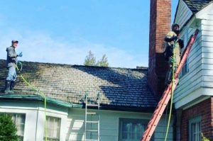 Indianapolis Roof Cleaning, Carmel Roof Cleaning, Westfield Roof Cleaning, Fishers Roof Cleaning, Zionsville Roof Cleaning, New Pal Roof Cleaning, Mccordsville Roof Cleaning, Greenwood Roof Cleaning, Noblesville Roof Cleaning, Fortville Roof Cleaning, Beech Grove Roof Cleaning, Greenfield Roof Cleaning, Whiteland Roof Cleaning, Whitestown Roof Cleaning, Avon Roof Cleaning, Bargersville Roof Cleaning, Franklin Roof Cleaning, Mooresville Roof Cleaning, Maxwell Roof Cleaning, Fountain Town Roof Cleaning, Danville Roof Cleaning, Maxwell Roof Cleaning, Lapel Roof Cleaning, Cicero Roof Cleaning, Camby Roof Cleaning, Clayton Roof Cleaning, Lizton Roof Cleaning, Ingalls Roof Cleaning,