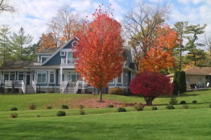A blue two-story house with white trim surrounded by vibrant autumn foliage, including a bright red tree in the front yard, set against a backdrop of green grass and scattered fallen leaves.