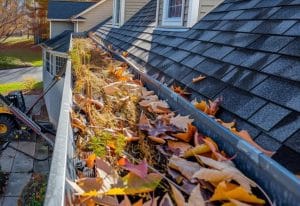 Clogged gutter filled with leaves, and plant growth on a shingled roof.