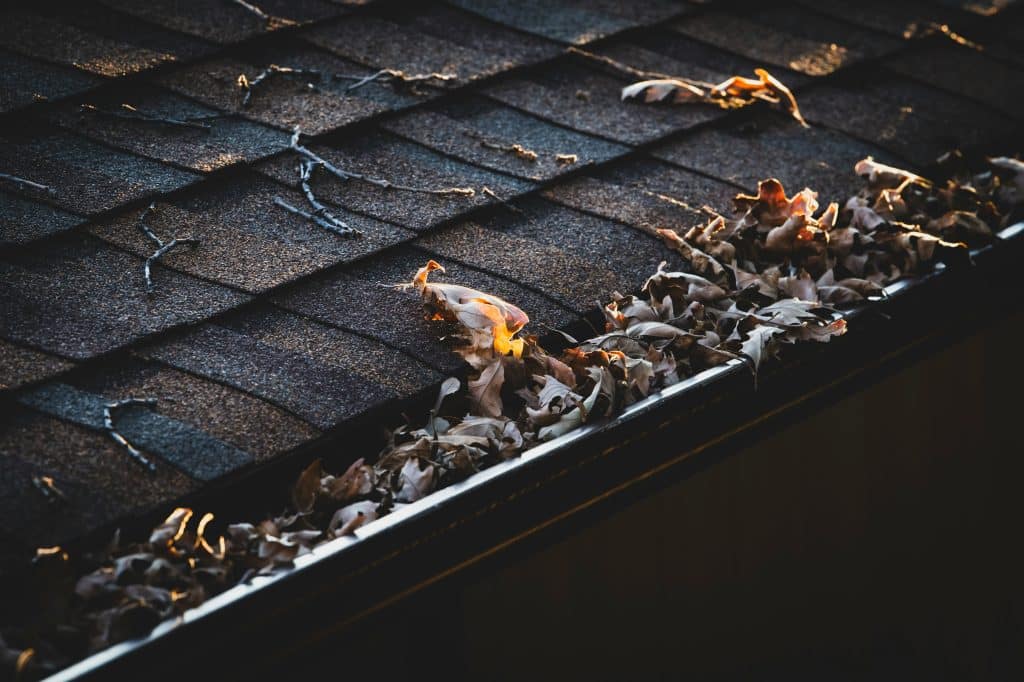 Close-up of a house gutter clogged with dry leaves and twigs on a shingled roof.